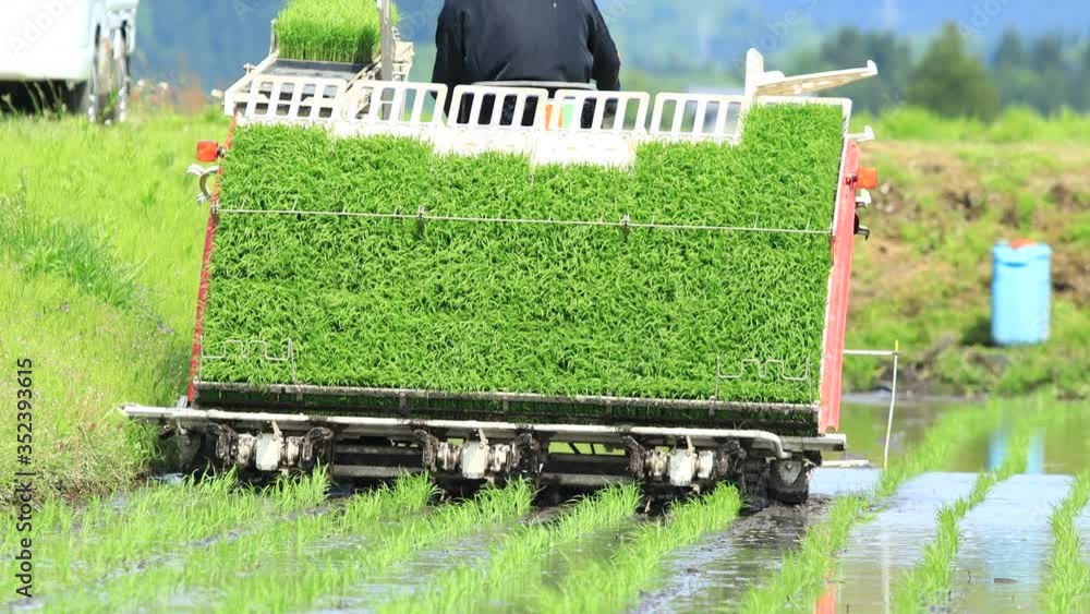 田植機 田植えの様子 農業 Stock ビデオ | Adobe Stock