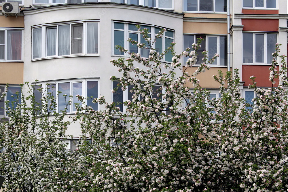 Apple garden on the background of a tall building in the city