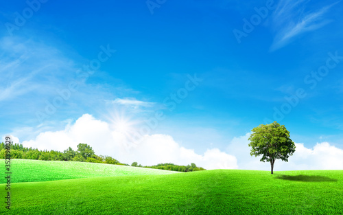 Beautiful landscape view of Green tree with grass meadow field and little hill with white clouds and blue sky in summer seasonal.