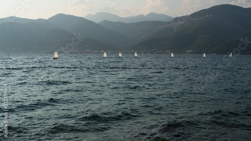 Sailing regatta against the backdrop of the mountains