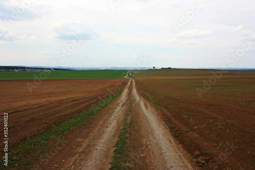 Dirt road in the field