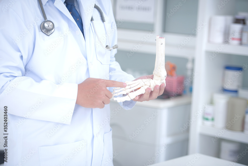 Orthopedic doctor in his office with the patient and the foot model orthopedic doctor in his office and the foot model who holds the ankle bone in the doctor's office Orthopedic doctor in his office with the patient and the foot model orthopedic doctor in his office and the foot model who holds the ankle bone in the doctor's office