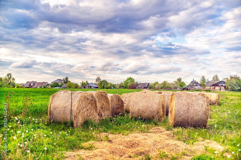 Panoramic view of spring meadow with hay rolls on cloudy day in the village