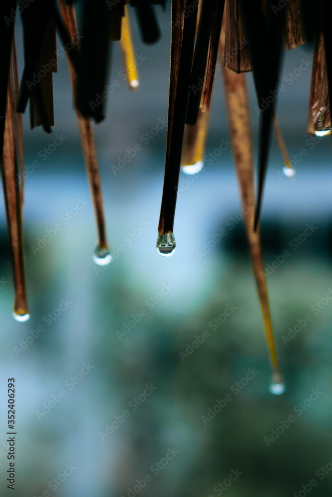 Rainwater flowing down the grass roof
Rainwater flowing down the grass roof
