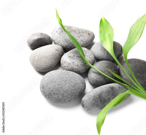 Zen stones and branch on white background