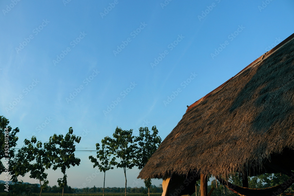 The grass roof is the accommodation of farmers in Thailand
