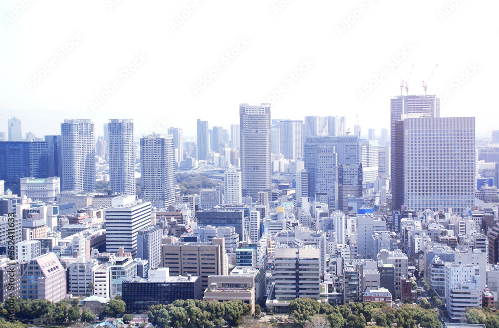 Aerial view on Tokyo, Japan