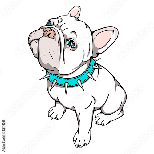 Cute cartoon french bulldog in spiked collar. 
