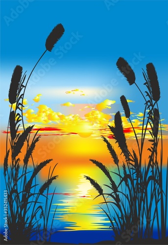  romantic composition showing the bay and the reeds at sunset
