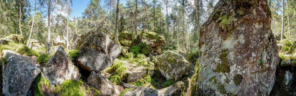Waldpanorama, Wald mit moosbedeckten Felsen