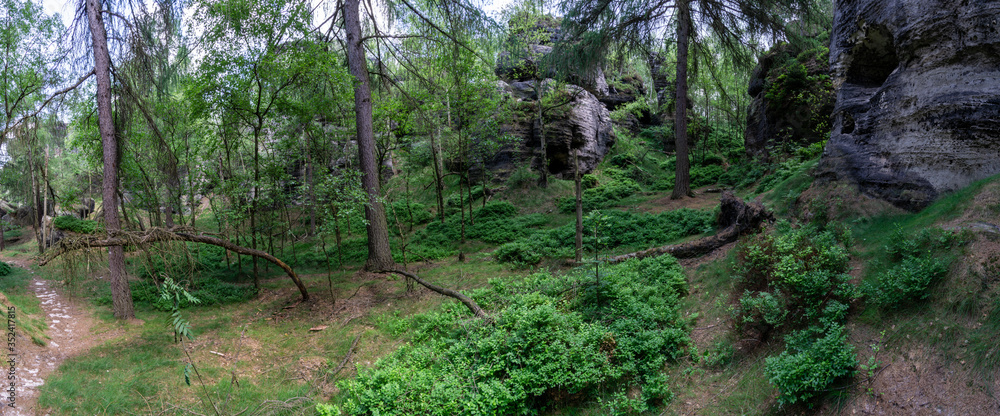 Waldpanorama Teufelsküche Allgäu Waldpanorama Teufelsküche Allgäu
