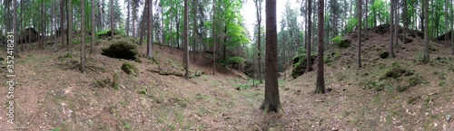 Waldpanorama Teufelsküche Allgäu