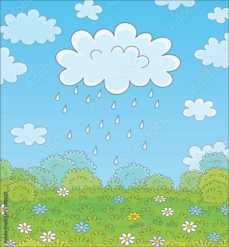 Funny plump rain cloud with dripping raindrops over a green field with beautiful flowers on a pretty summer rainy day, vector cartoon illustration