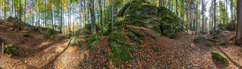 Waldpanorama, Wald mit moosbedeckten Felsen Waldpanorama, Wald mit moosbedeckten Felsen
