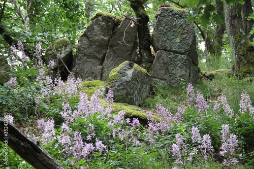 Paysages de la région alsacienne