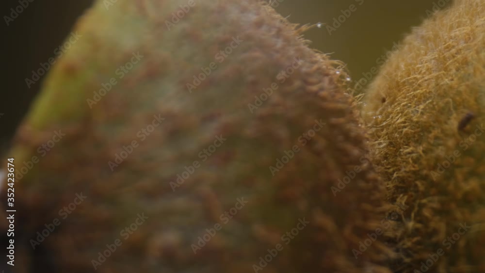 close-up of Kiwi fruit macro shooting,healthy food and diet concept,sliced fruit spin,source of vitamins,healthy diet, isolated half kiwi on yellow background rotates.4K close-up of Kiwi fruit macro shooting,healthy food and diet concept,sliced fruit spin,source of vitamins,healthy diet, isolated half kiwi on yellow background rotates.4K