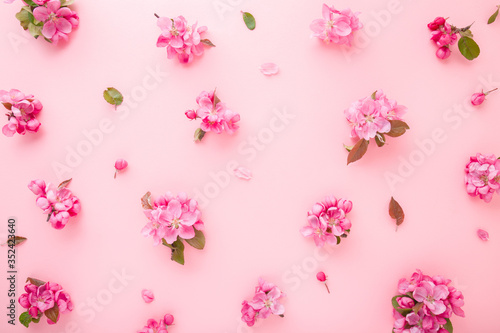 Fresh branches of apple blossoms on light pink table background. Pastel color. Flat lay. Beautiful flower pattern. Closeup. Top down view.