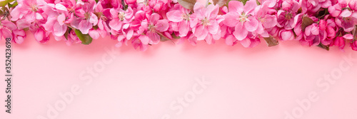 Fresh branches of apple blossoms on light pink table background. Pastel color. Beautiful flower wide banner. Closeup. Empty place for inspirational text, lovely quote or positive sayings. Top view.