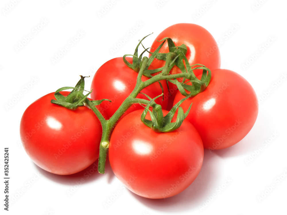 Tomato isolated on white background. Bunch of fresh tomatoes Tomato isolated on white background. Bunch of fresh tomatoes