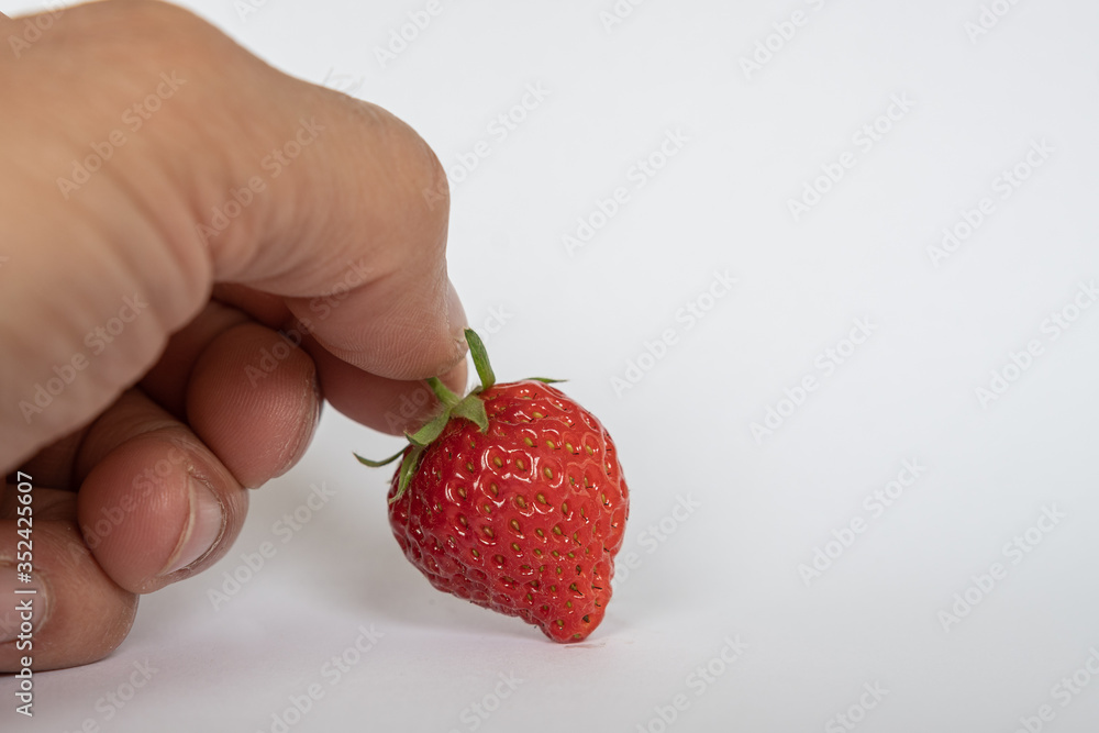 Obraz premium Erdbeere in der Hand isoliert auf weiß