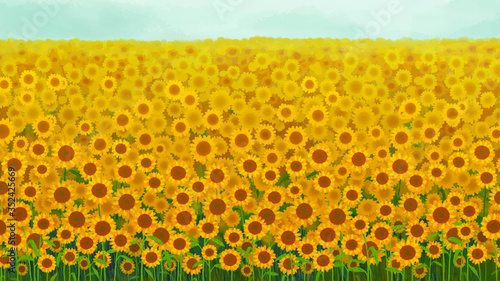 Sunflower garden background vector
