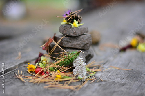 cones stones needles flowers rosehip