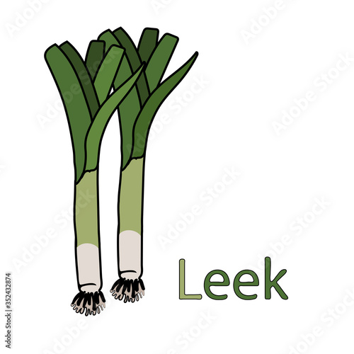 Leek. Educational material for the study of vegetables .. A word for the letter L. Cartoon outline of the root with leaves. Vector freehand drawing, black outline. Isolated on a white background.