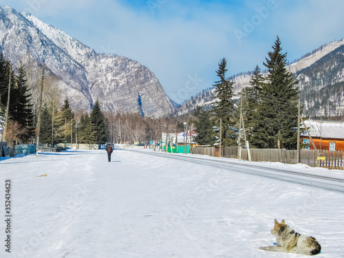 The dog sits on the street in the village at the foot of the mountains in winter  winter background