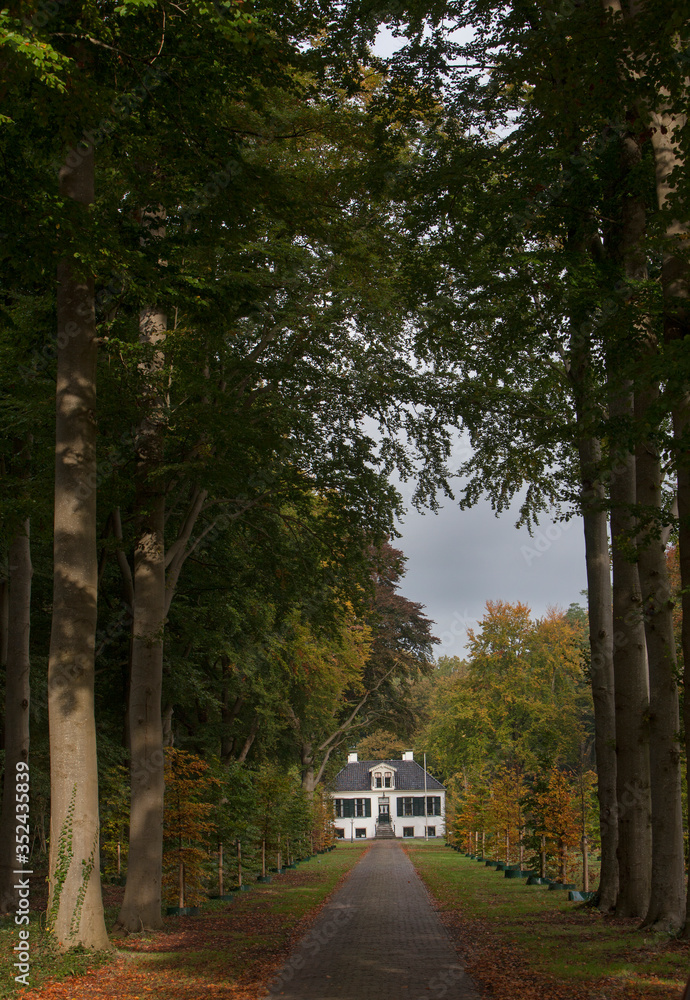 Huis Westerbeek. Estate. Fall. Autumn.  Estate, Fall. Autumn. Maatschappij van Weldadigheid Frederiksoord Drenthe Netherlands. Lane.