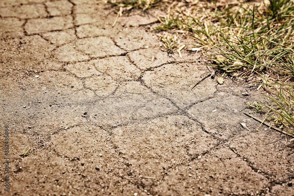 Fototapeta premium Dry soil outdoors, closeup view