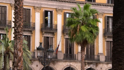 Lockdown shot of palm trees growing against building - Barcelona, Spain photo