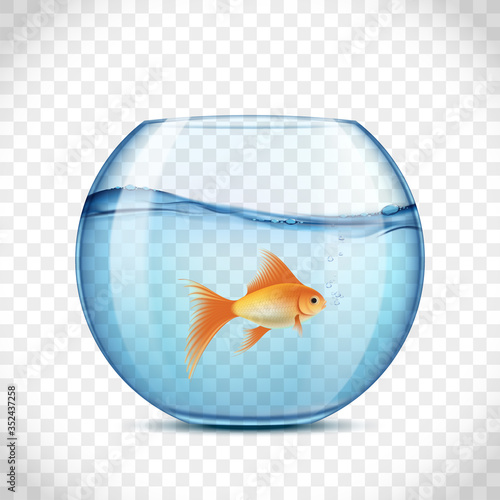 Glass round aquarium with water and a goldfish inside.