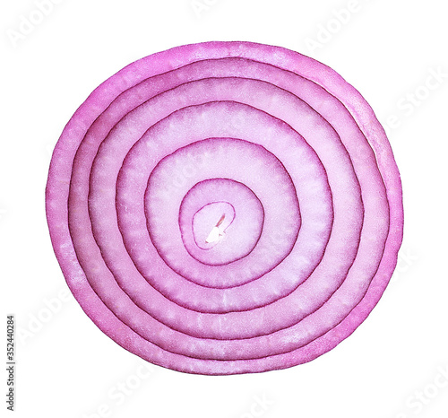 Violet onion slice on a white background, top view. Sliced red onion rings.