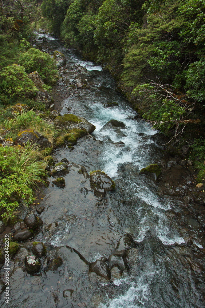 Fototapeta premium Stream at Whakapapa Nature Walk in Tongariro National Park,Manawatu-Wanganui Region on North Island of New Zealand