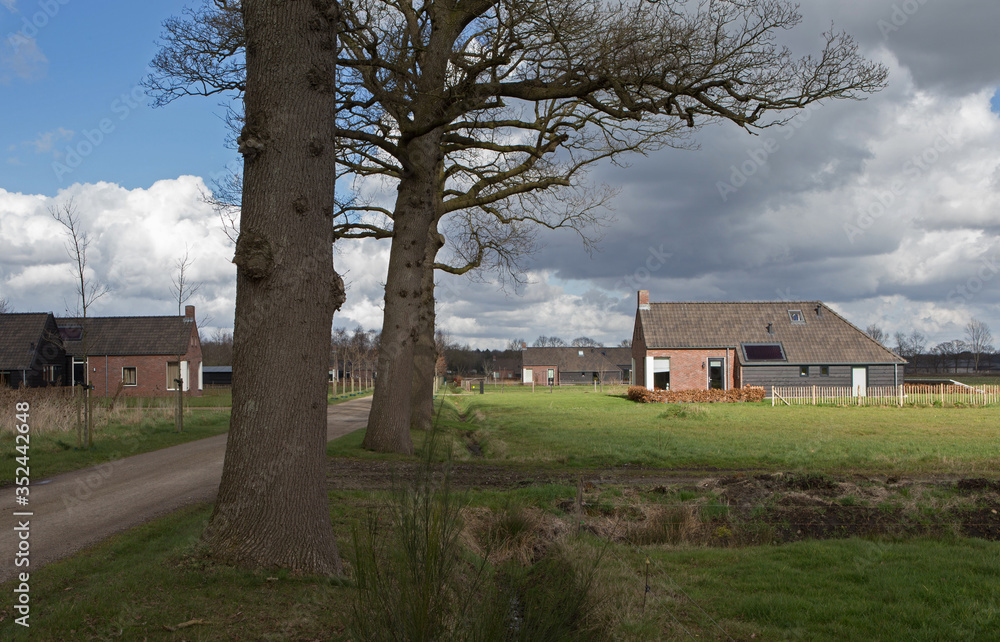 Newly build colony house. Koloniehuisje. Maatschappij van Weldadigheid Frederiksoord Drenthe Netherlands. Panorama. Dirtroad. Lane structure. Newly build colony house. Koloniehuisje. Maatschappij van Weldadigheid Frederiksoord Drenthe Netherlands. Panorama. Dirtroad. Lane structure.