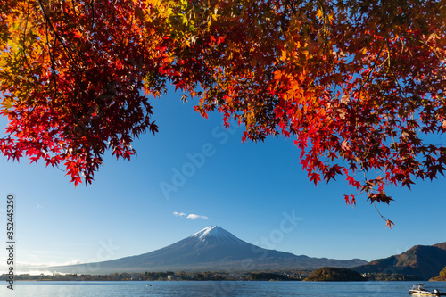 Colorful Autumn Season and Mountain Fuji with red leaves at lake Kawaguchiko is one of the best places in Japan © messipjs