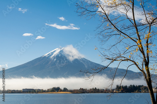 Mount Fuji view from Lake Kawaguchi, Yamanashi Prefecture, Japan. Mount Fuji is Japan tallest mountain and popular with both Japanese and foreign tourists. © messipjs