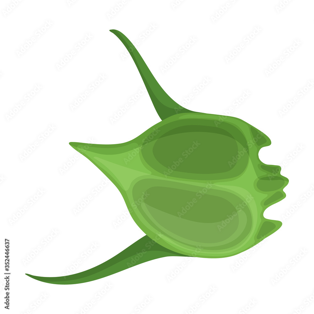 Fototapeta premium Plankton vector icon.Cartoon vector icon isolated on white background plankton.