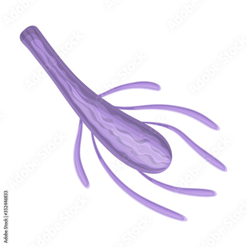 Plankton vector icon.Cartoon vector icon isolated on white background plankton.