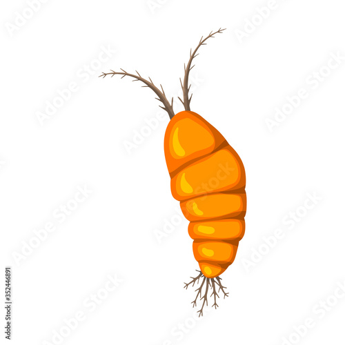Plankton vector icon.Cartoon vector icon isolated on white background plankton.