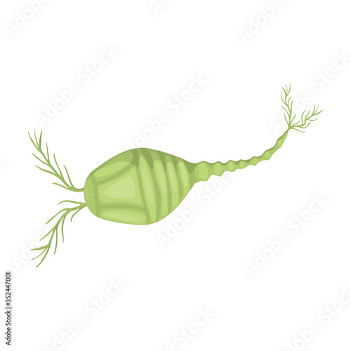 Plankton vector icon.Cartoon vector icon isolated on white background plankton.