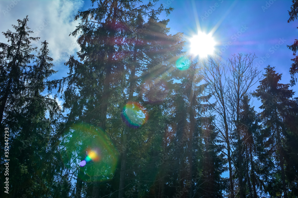 Fototapeta premium Sun beam in blue sky with cloud around forest