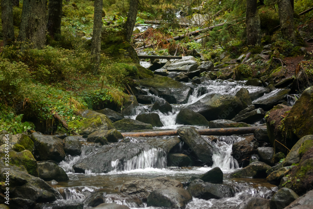 clean mountain river, stones covered with green moss clean mountain river, stones covered with green moss