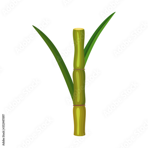 Stem sugar cane vector icon.Cartoon vector icon isolated on white background stem sugar cane.