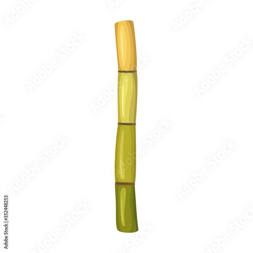 Stem sugar cane vector icon.Cartoon vector icon isolated on white background stem sugar cane.