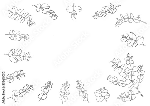 Frame set of eucaliptus leaves branch. Floristic design elements for floristics.