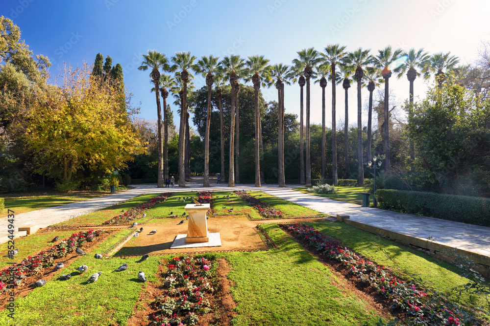 National garden with palm  in center of Athens, Greece