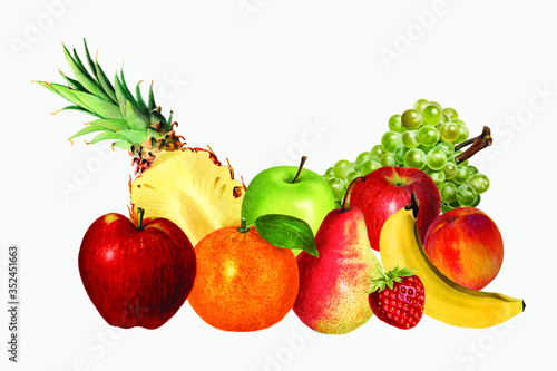 Hand drawn mixed tropical fruits vector