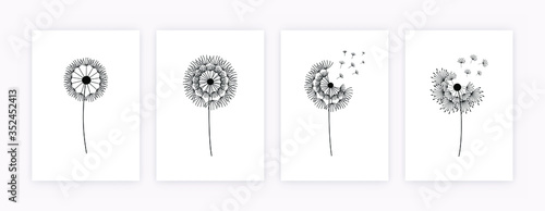 Set of hand drawn dandelion flowers. Abstract floral summer posters, wall art isolated on white background, minimalistic banners. Creative vector illustration