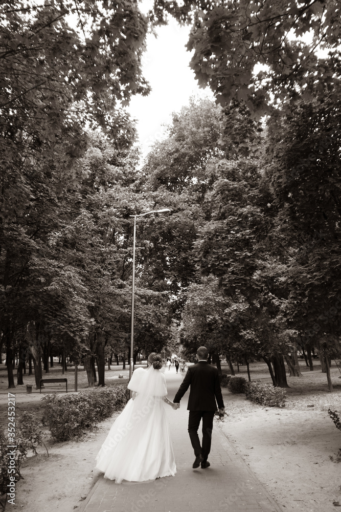 Romantic wedding couple of groom and bride. Rear view of a romantic young couple Romantic wedding couple of groom and bride. Rear view of a romantic young couple